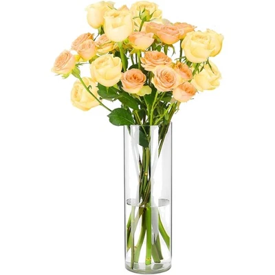 Vase, Unzerbrechliche Vase, Blumenvasen, Acryl Modern Zylindervase, Klar, Kun... - Bild 1 von 4