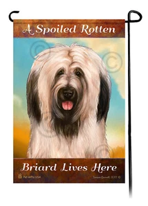 A Spoiled Rotten (Uncropped Light Fawn) Briard Lives Here - Picture 1 of 1