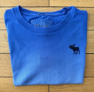 Ambercrombie & Fitch Men’s Blue Ombré Fitted T Shirt - Medium - Picture 1 of 4