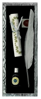 Set Piuma Argento con Pennino Metallo,e 1 Flacone Inchiostro Coordinato - Immagine 1 di 4