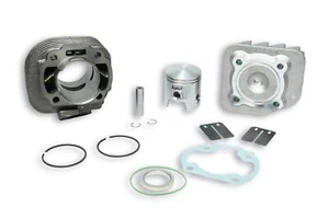 GRUPPO TERMICO MALOSSI MINARELLI LC NUOVO 31-7083 APRILIA YAMAHA AEROX F15 F12 - Imagen 1 de 1