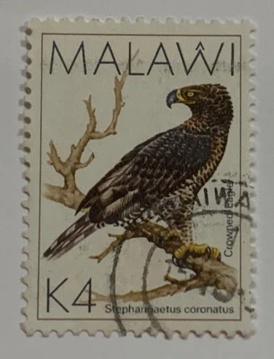 Travelstamps: MALAWI  Stamps Scott #532, used postage stamp, bird, K4 - Image 1 of 4