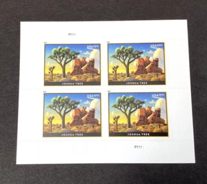 Francobolli US Priority Mail #5347 Joshua Tree 2019 foglio di quattro $ 7,35 come nuovi NH - Foto 1 di 2