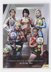 Seri Yamaoka 2025 Marigold Rookie Joshi Wrestling #193 SP New Year Golden Garden - Picture 1 of 2