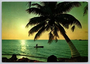 Postal Malasia Sunset Beach Palmera-fringed Shore Fisherman - Imagen 1 de 2