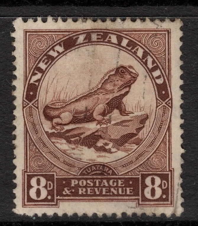 NEW ZEALAND 1935 PICTORIALS  8d BROWN 'TUATARA' STAMP VFU** - Image 1 of 1
