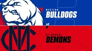 AFL MELBOURNE DEMONS VS WESTERN BULLDOGS - Picture 1 of 1