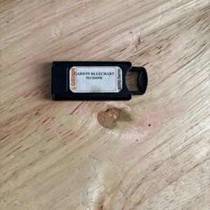 Garmin Bluechart MUS009R - Imagen 1 de 2