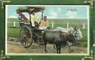 A Reckla 3 People In The Carriage  C1910 India German Printed Postcard