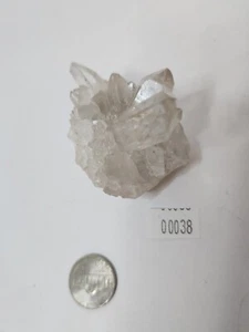 Quartz Crystal LG038 - Small-Medium Multi Point Cluster 2.5x2.5x2 - Foto 1 di 16