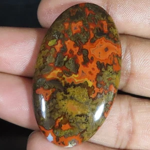69.80 Cts Natural Morocco Seam Agate Oval Cabochon Gemstone 27x48x5 mm LP323 - Picture 1 of 6
