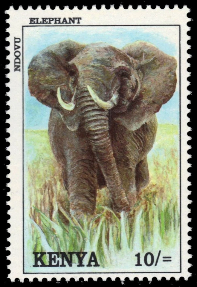 KENIA 570 - Elefante africano "Loxodonta africana" (pa18924) Foto 1 de 1