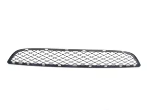 BMW Genuine Middle Bottom Grille Black Replacement Fits E71 E72 51117176282 - Picture 1 of 7