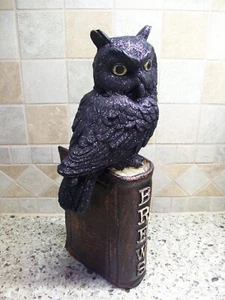 Gufo nero su streghe "Brews" LIBRO INCANTESIMI HALLOWEEN PROP nuovo con etichette 9,5" RAZ decorazione tavola - Foto 1 di 10