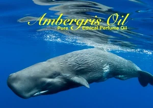 Ambergris Pure Perfume Oil - "Pure Amber Oil" - Picture 1 of 3