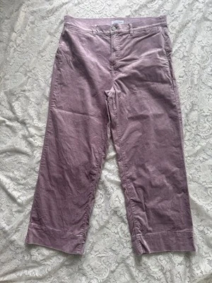Pantalones Ann Taylor LOFT Malva Corte Recto Terciopelo Talla 32/14 Foto 1 de 4