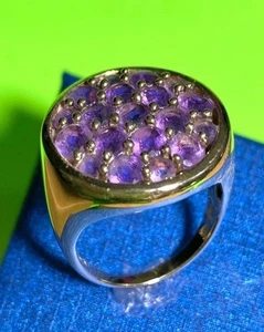 Michael Valitutti Sterling Silver AMETHYST 12k Gold Vermeil Men’s 925 Ring 9.75 - Picture 1 of 2