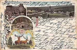 Foreign GERMANY Gruss Aus 1902 BISCHOFSGRAN 4View Deer Homes Spring? 14 - Picture 1 of 2