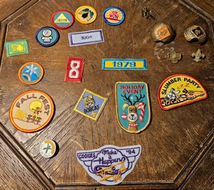 Scout Konvolut Aufnäher und Pins - Bild 1 von 1