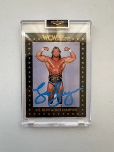 LEX LUGER 1991 WCW CHAMPIONSHIP MARKETING CARD - Picture 1 of 2