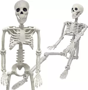 36" Halloween Skeleton, Realistic Full Body with Movable Joints for Graveyard De - Picture 1 of 12
