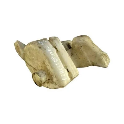 Serbatoio lavavetri CITROËN BERLINGO MF 1.6 Diesel 55kw 2006 27036315 - Immagine 1 di 4