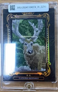 2022 Other Elaphurus Davidianus (Père David's Deer) Mammals Creatures #DI-CX-05 - Picture 1 of 2