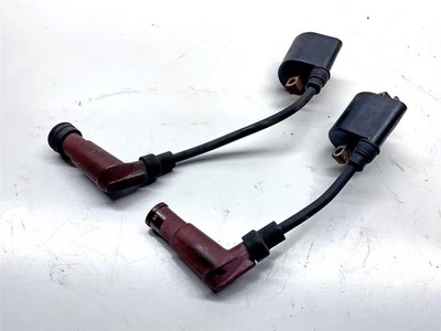 Bobinas de encendido Triumph Street Cup 2017 - T1290321 Foto 1 de 4