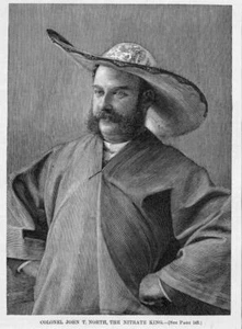 NITRATE KING JOHN NORTH, NITRATE PROPERTIES, ANCESTRY - Picture 1 of 1