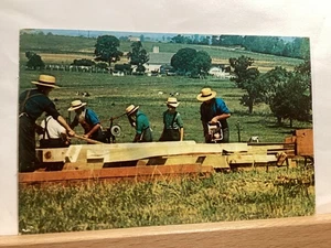 Amish Männer schneiden Balken und Balken in einer Scheune Aufzucht: - Vintage Postkarte - Bild 1 von 3