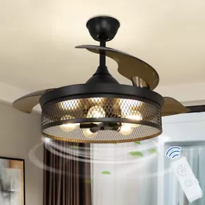 Depuley Industrial Ceiling Fan with Lights 42" Black Ceiling Fan with Remote - Picture 1 of 9