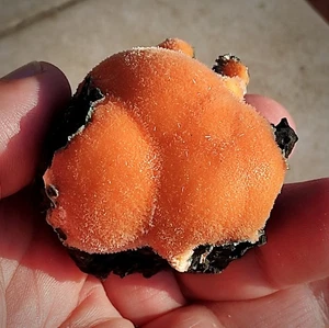 Stunning Orange Thomsonite kidney-shaped balls from India!!! - Picture 1 of 5
