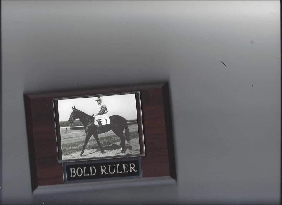 PLACA REGLA AUDAZ CÉSPED CARRERAS CABALLOS Foto 1 de 1