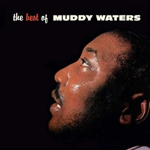 Muddy Waters - The Best of Muddy Waters [Chess 75 Series] NEW Vinyl - Picture 1 of 1