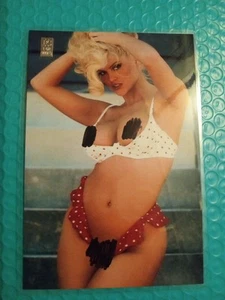 Anna Nicole Smith Hand Made Large 4x6 Card / 1 Grain .999 Silver Card - Picture 1 of 3