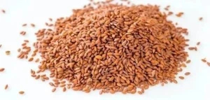 Semi di crescione biologico da giardino Lepidium sativum 100% naturale بذور الرشاد رشاد - Foto 1 di 1