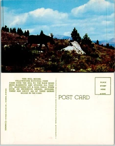 Bull Moose, Yellowstone National Park, Wyoming, Vintage Chrome PC - Bild 1 von 1