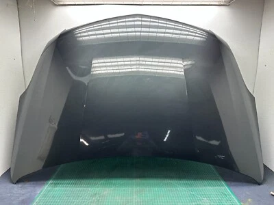 13-17 Cadillac XTS - PANEL CAPÓ CAPÓ Gris GLJ OEM Foto 1 de 4