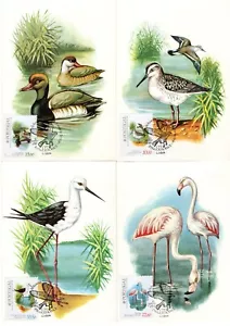 Portugal 1982 Birds - nature Maximum cards set - Picture 1 of 1