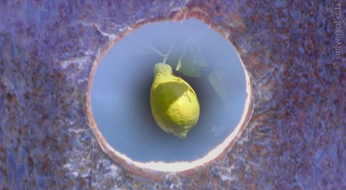 Foto 1 di 3