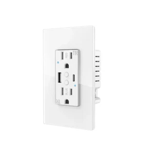 Smart Dual USB Wall Sockets with WiFi, Type-C PD 20W, Compatible with Alexa - Picture 1 of 8