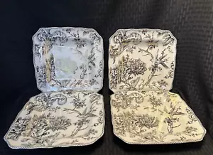222 Fifth Adelaide Gold 8,5" Quadratische Salatteller 4er Set - Wunderschön! - Bild 1 von 10