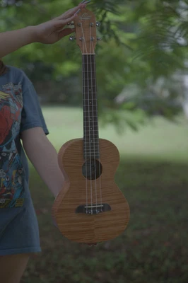 Ukelele concierto caoba llama OU2F Oc Schdmmit - excelente estado ligeramente usado Foto 1 de 4