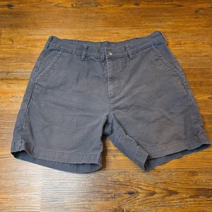 VTG Patagonia Short Men 36 Stand up Gray organic Cotton 6” Inseam pockets Y2K - Picture 1 of 16
