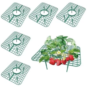 5 Pack Strawberry Supports Garden Fruit Plant Cage Strawberry Holder Cradles ... - Picture 1 of 7