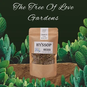 Hyssop | Hyssop Herb | Hyssopus officinalis - Picture 1 of 2