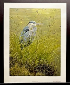 Impresión firmada por Robert Bateman edición limitada "Banco de hierba-Gran garza azul" - Imagen 1 de 3