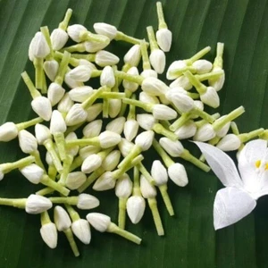 100Pcs Beautiful Artificial Jasmine Buds Flowers with tissue paper Handcrafted - Picture 1 of 6