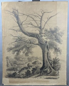 Ancienne étude d'arbre Ecole de Fontainebleau vers 1830-1840 Groupe de Marlotte - Picture 1 of 17