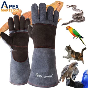 Anti-Bite Training Gloves Animal Dog Cat Parrot Safety Handling Chew Protector - Picture 1 of 19